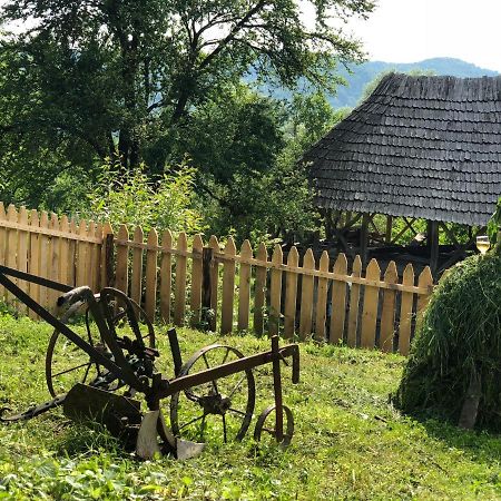 Băile OlăneştiCasa Albastra别墅 外观 照片