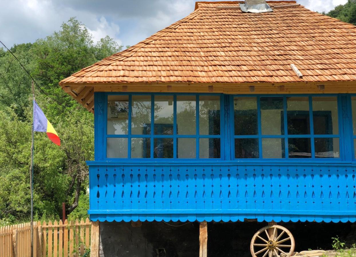Băile OlăneştiCasa Albastra别墅 外观 照片
