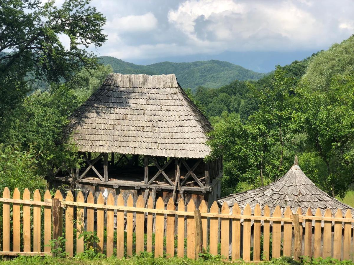 Băile OlăneştiCasa Albastra别墅 外观 照片