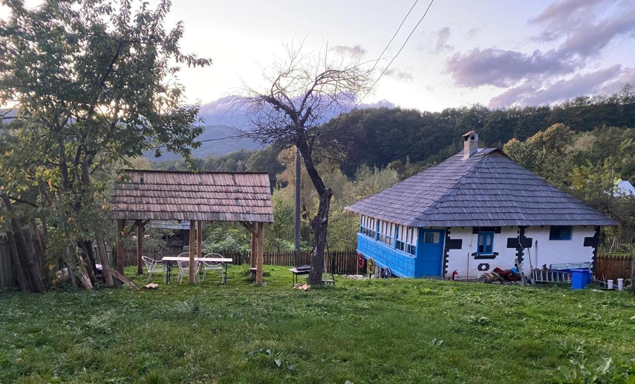 Băile OlăneştiCasa Albastra别墅 外观 照片